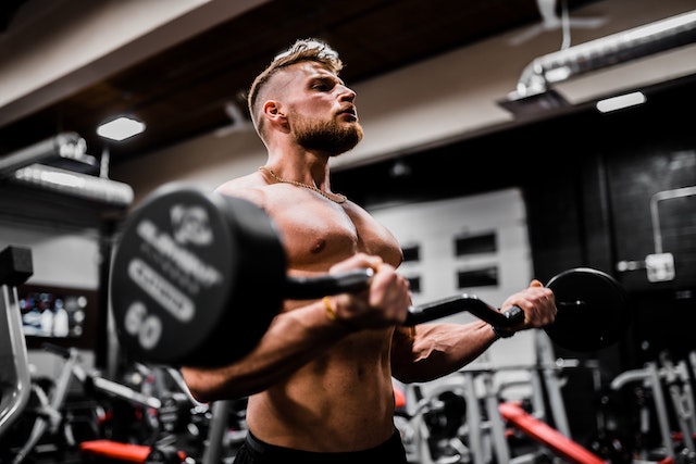 how-much-does-a-barbell-weigh